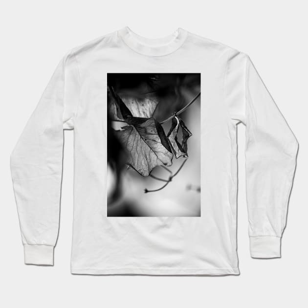 the things left unsaid Long Sleeve T-Shirt by blumwurks